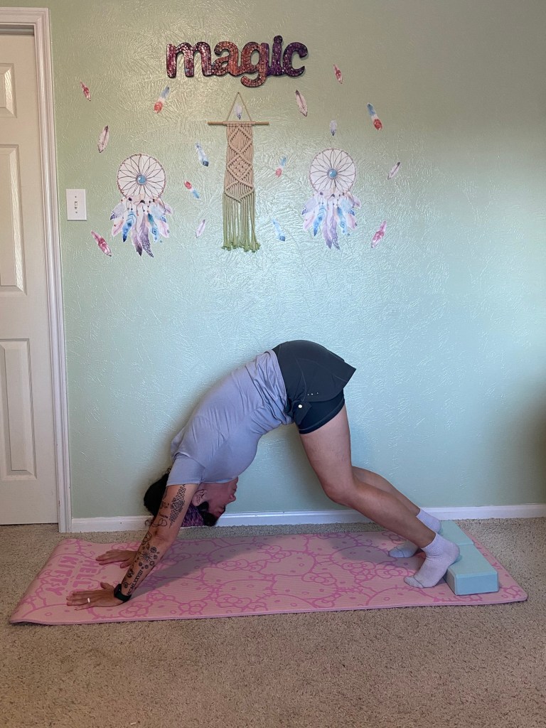 Downward Facing Dog (Adho Mukha Svanasana)